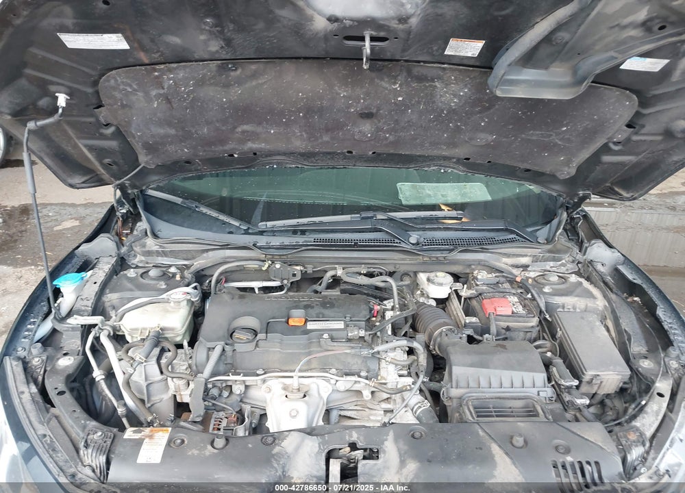 2019 HONDA CIVIC LX VIN: 2HGFC2F66KH581514
