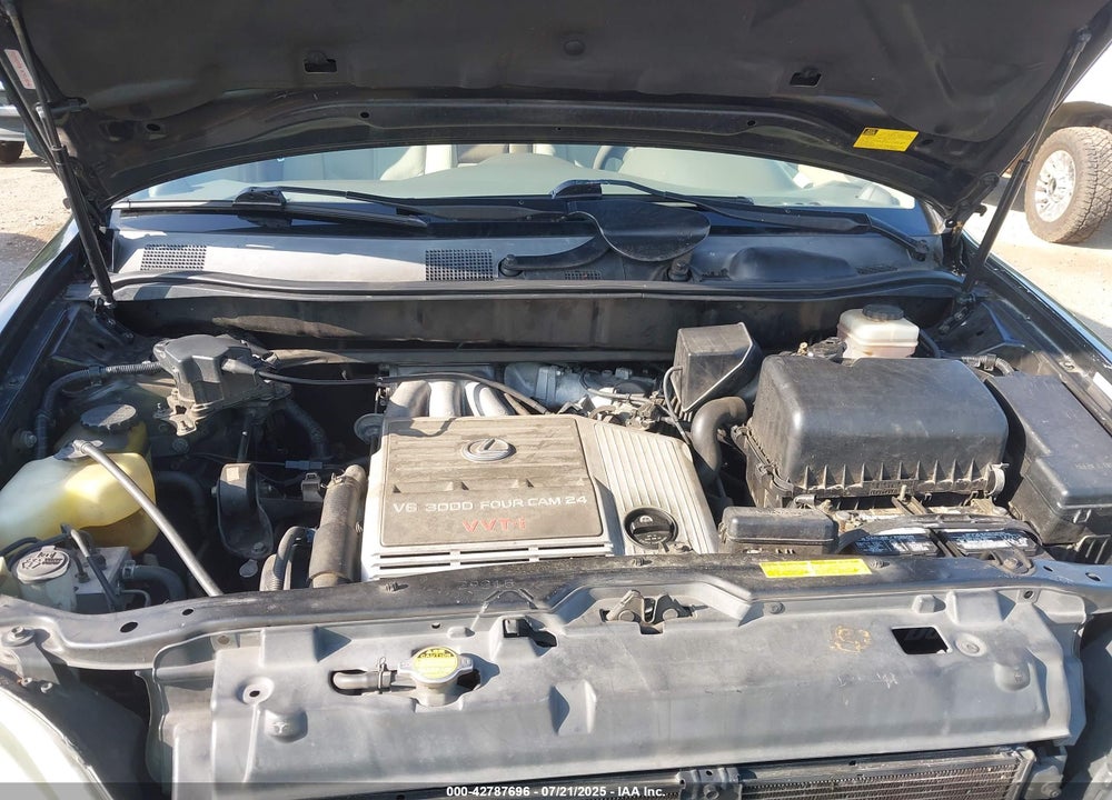 2002 LEXUS RX 300 VIN: JTJGF10U920132891