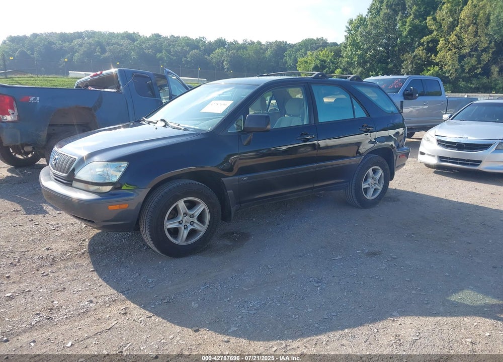 2002 LEXUS RX 300 VIN: JTJGF10U920132891