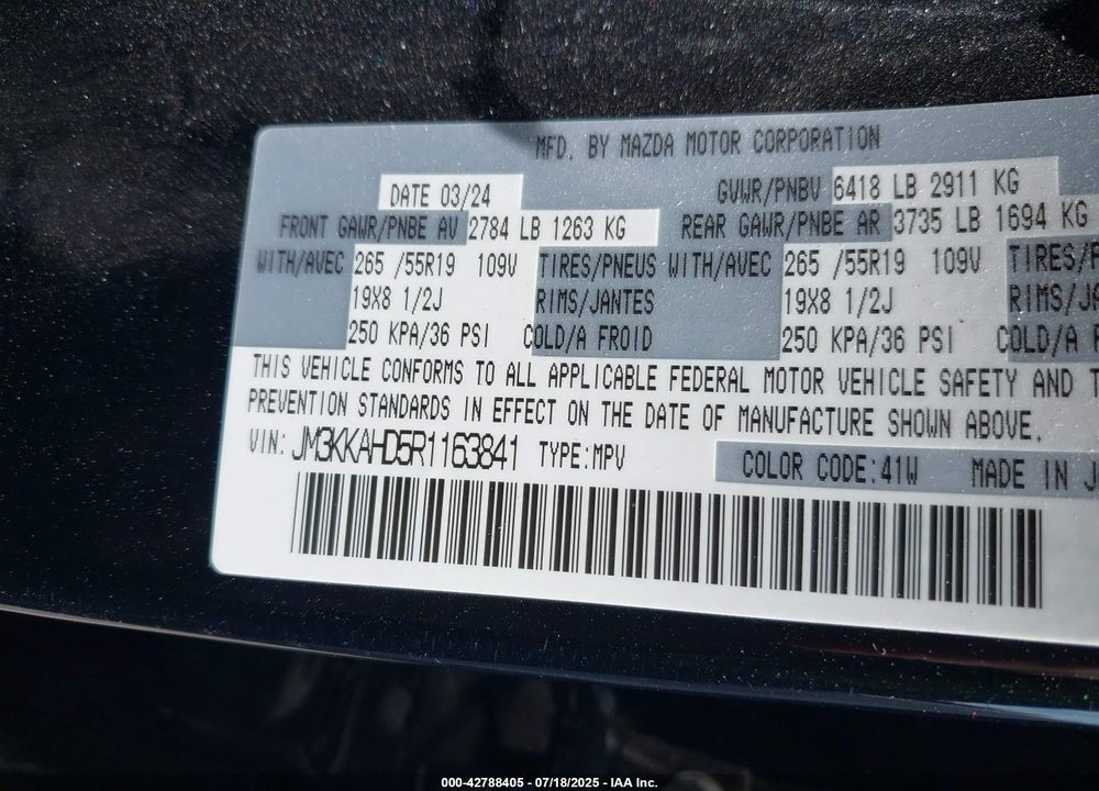 2024 MAZDA CX-90 VIN: JM3KKAHD5R1163841