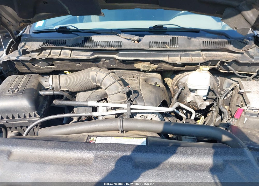 2010 DODGE RAM 1500 VIN: 3D7JV1ET4AG102029