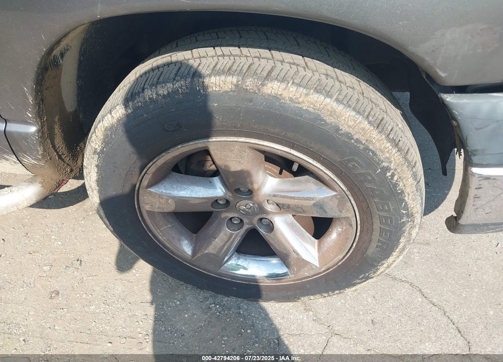 2007 DODGE RAM 1500 VIN: 1D7HA16K07J566409