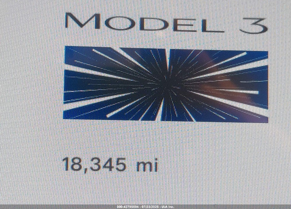 2024 TESLA MODEL 3 VIN: 5YJ3E1ET2RF843459