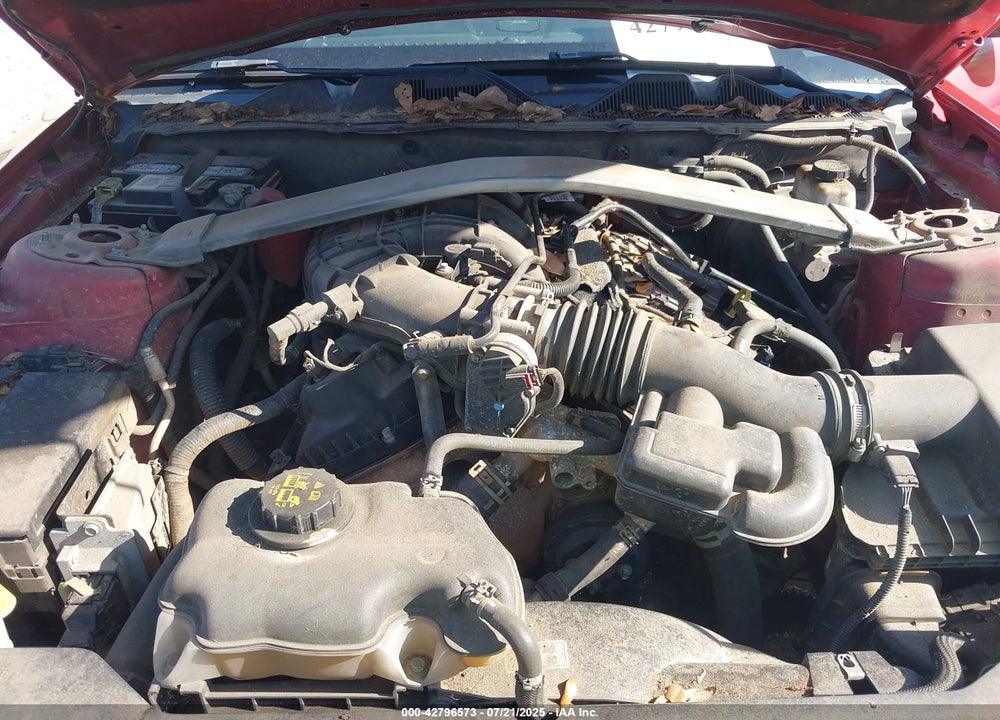 2012 FORD MUSTANG V6 VIN: 1ZVBP8EM8C5237256