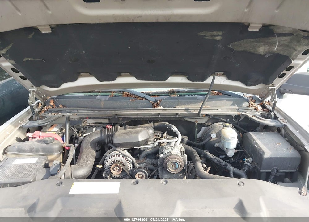2009 CHEVROLET SILVERADO 1500 WORK TRUCK VIN: 1GCEC19X99Z116146