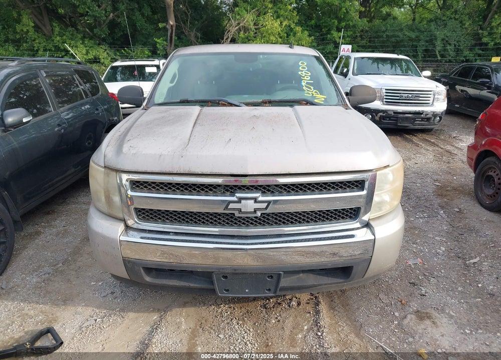 2009 CHEVROLET SILVERADO 1500 WORK TRUCK VIN: 1GCEC19X99Z116146