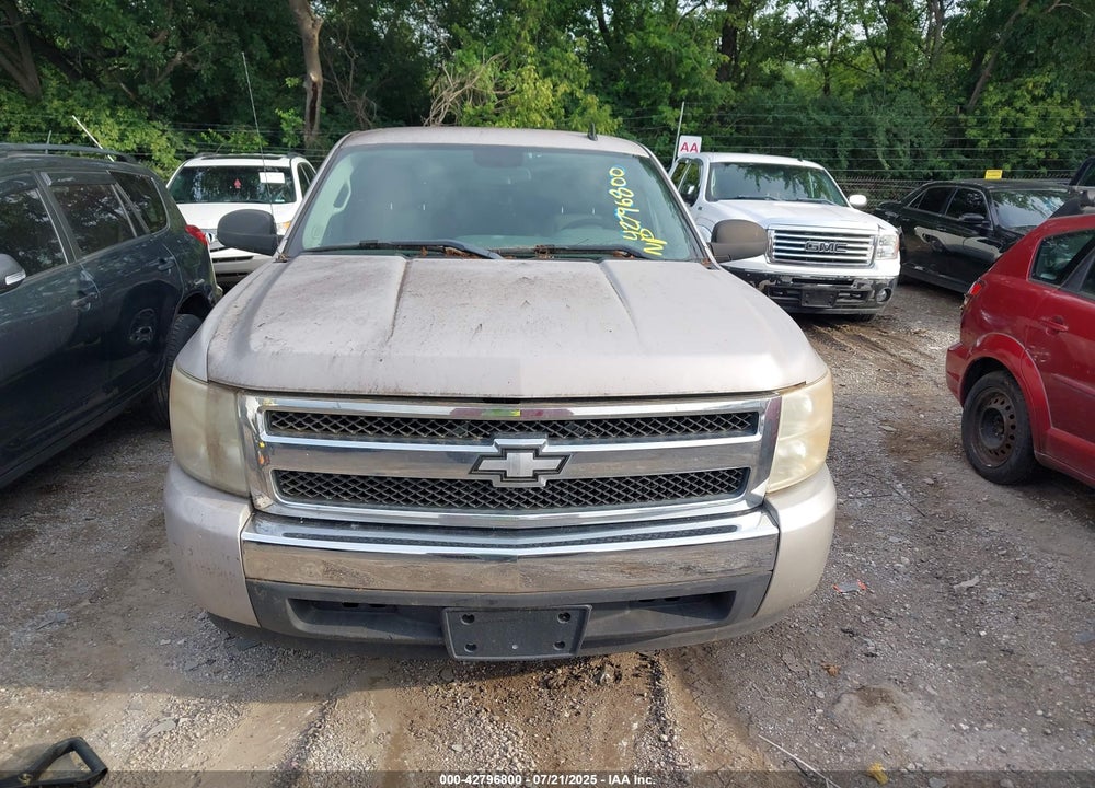 2009 CHEVROLET SILVERADO 1500 WORK TRUCK VIN: 1GCEC19X99Z116146