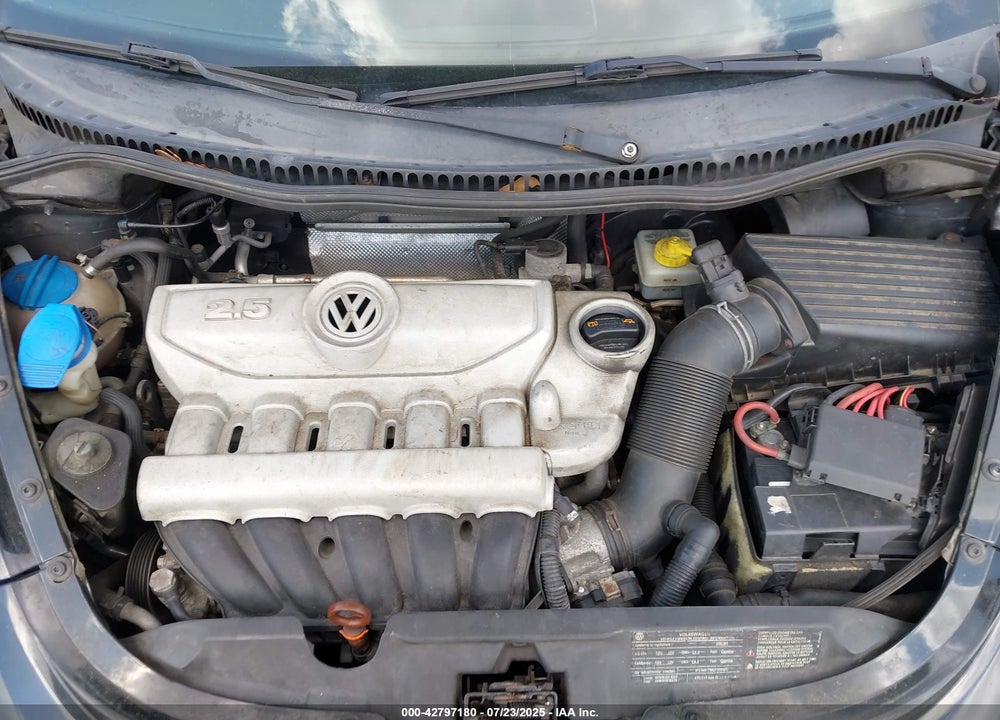 2010 VOLKSWAGEN BEETLE VIN: 3VWPG3AG7AM018434