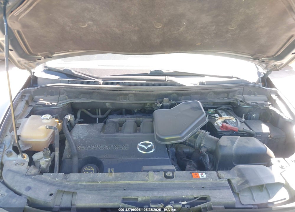 2010 MAZDA CX-9 VIN: JM3TB2MA7A0201229