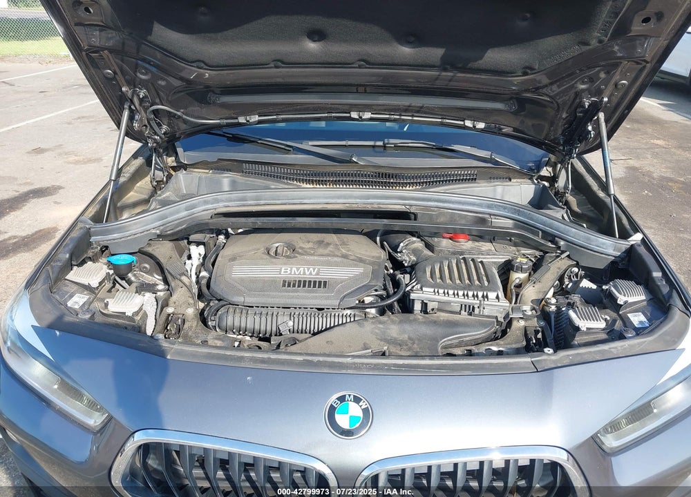 2020 BMW X2 VIN: WBXYJ1C09L5P66059