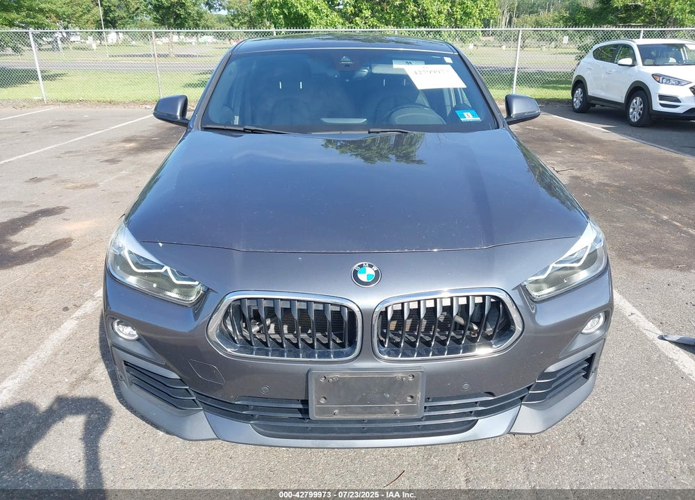2020 BMW X2 VIN: WBXYJ1C09L5P66059