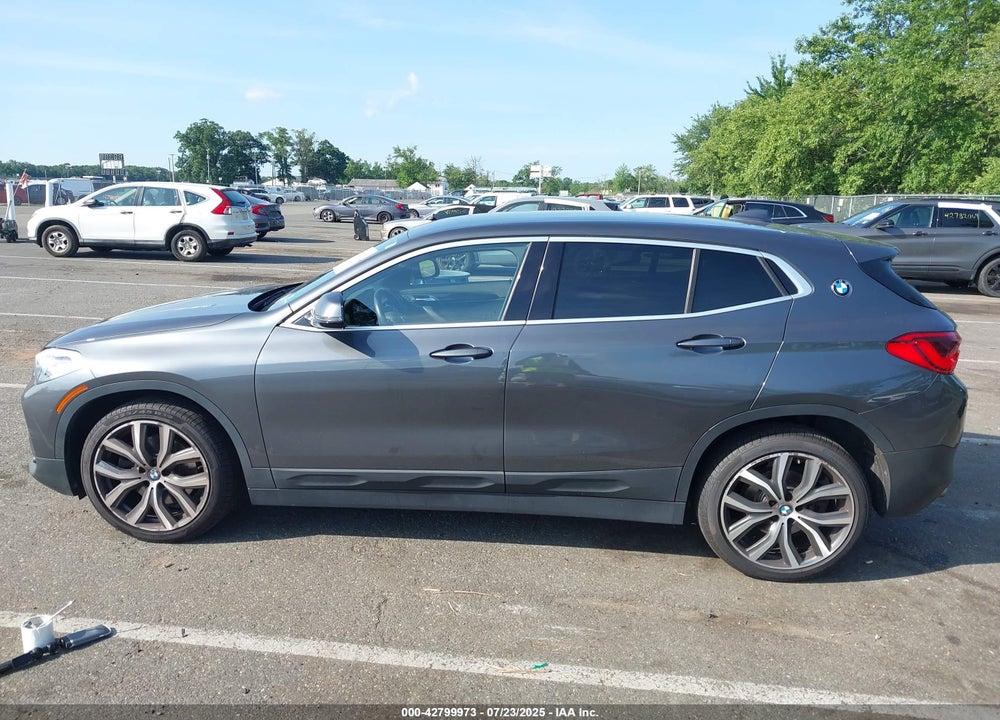 2020 BMW X2 VIN: WBXYJ1C09L5P66059