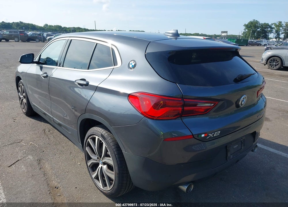 2020 BMW X2 VIN: WBXYJ1C09L5P66059
