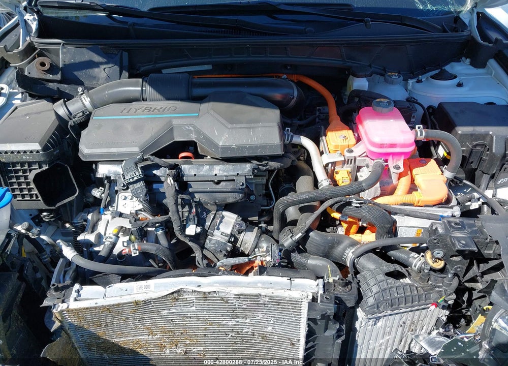 2024 HYUNDAI TUCSON HYBRID VIN: KM8JBCD14RU231360