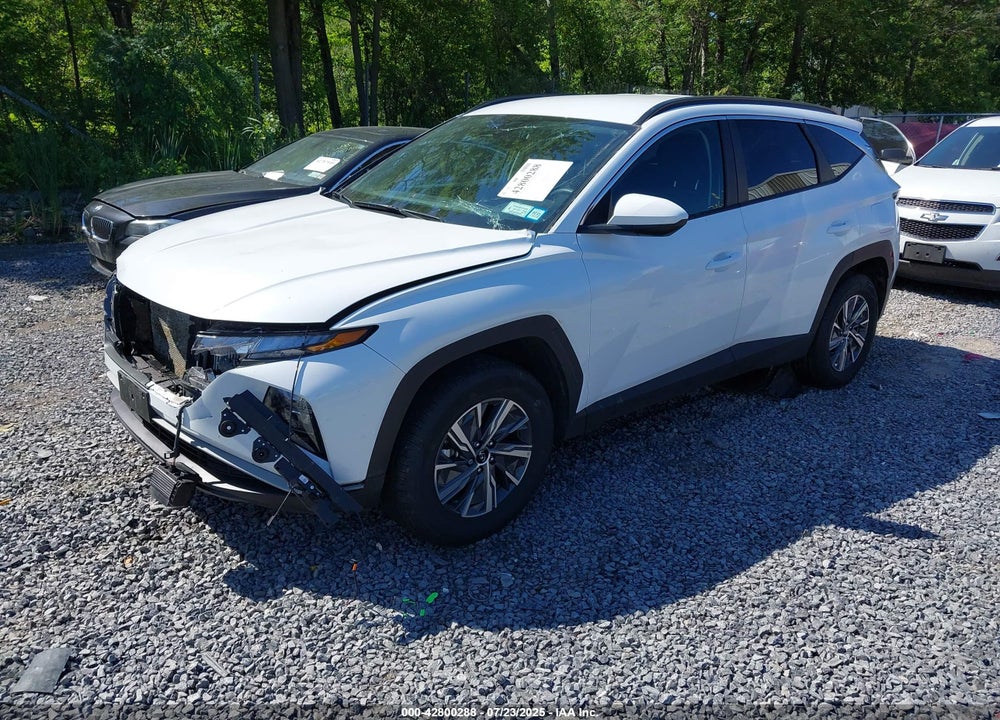 2024 HYUNDAI TUCSON HYBRID VIN: KM8JBCD14RU231360