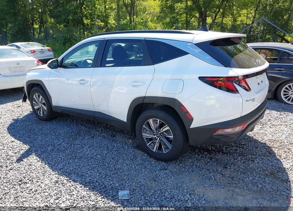 2024 HYUNDAI TUCSON HYBRID VIN: KM8JBCD14RU231360