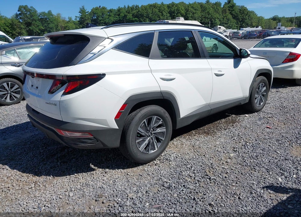 2024 HYUNDAI TUCSON HYBRID VIN: KM8JBCD14RU231360