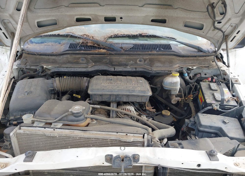 2002 DODGE RAM 1500 VIN: 3B7HA18N32G110237