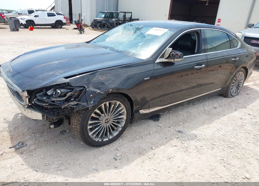 2019 KIA K900 VIN: KNAS34J69K6009870