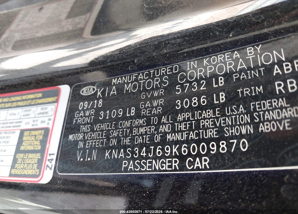 2019 KIA K900 VIN: KNAS34J69K6009870