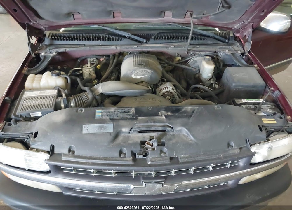 2002 CHEVROLET SILVERADO 1500 LS VIN: 2GCEK19T021383996