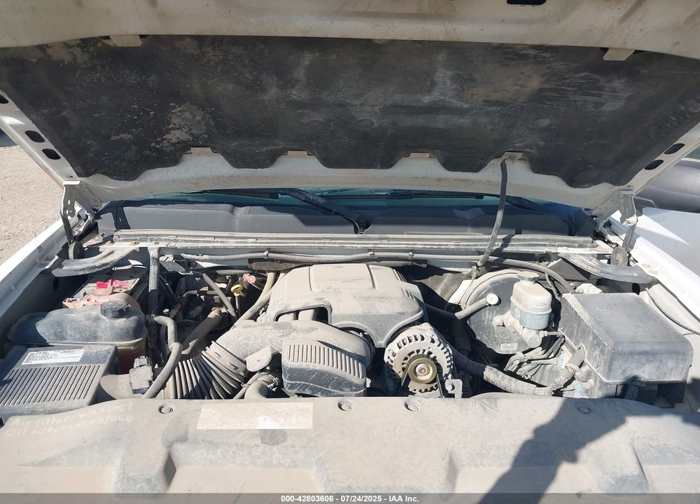 2009 CHEVROLET SILVERADO 1500 VIN: 3GCEC13C89G119724