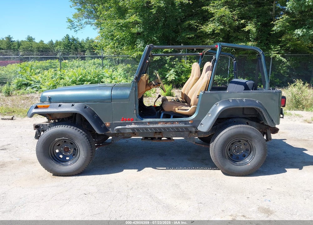 1993 JEEP WRANGLER / YJ VIN: 1J4FY29S1PP254069