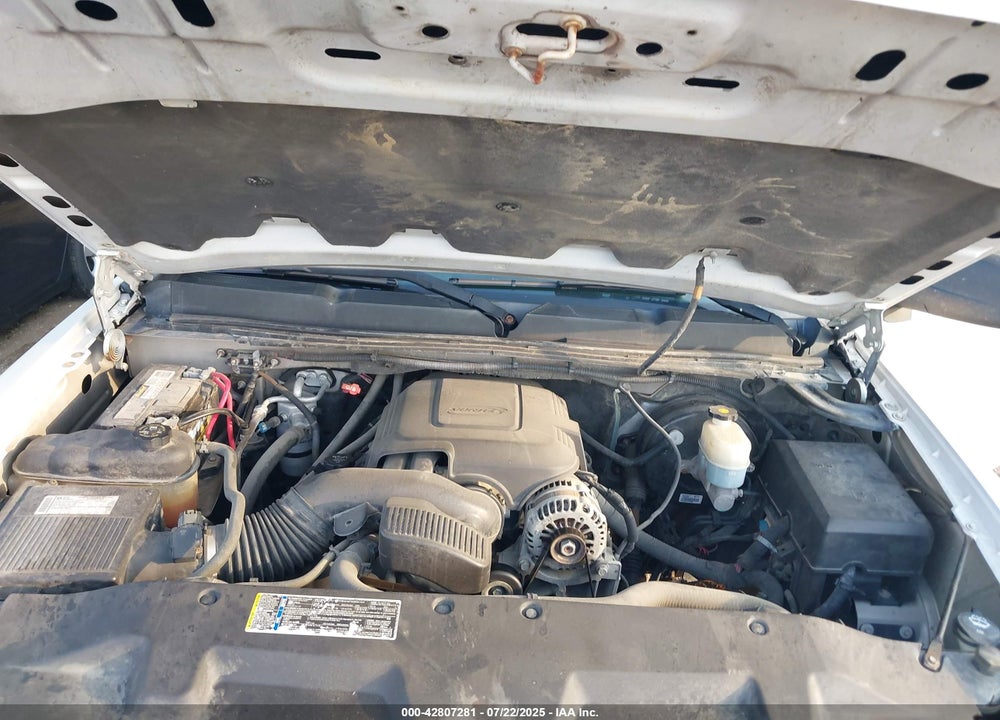 2009 CHEVROLET SILVERADO 1500 VIN: 1GCEK29JX9Z181124