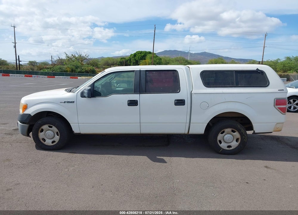 2009 FORD F-150 VIN: 1FTRW12W39KA27854