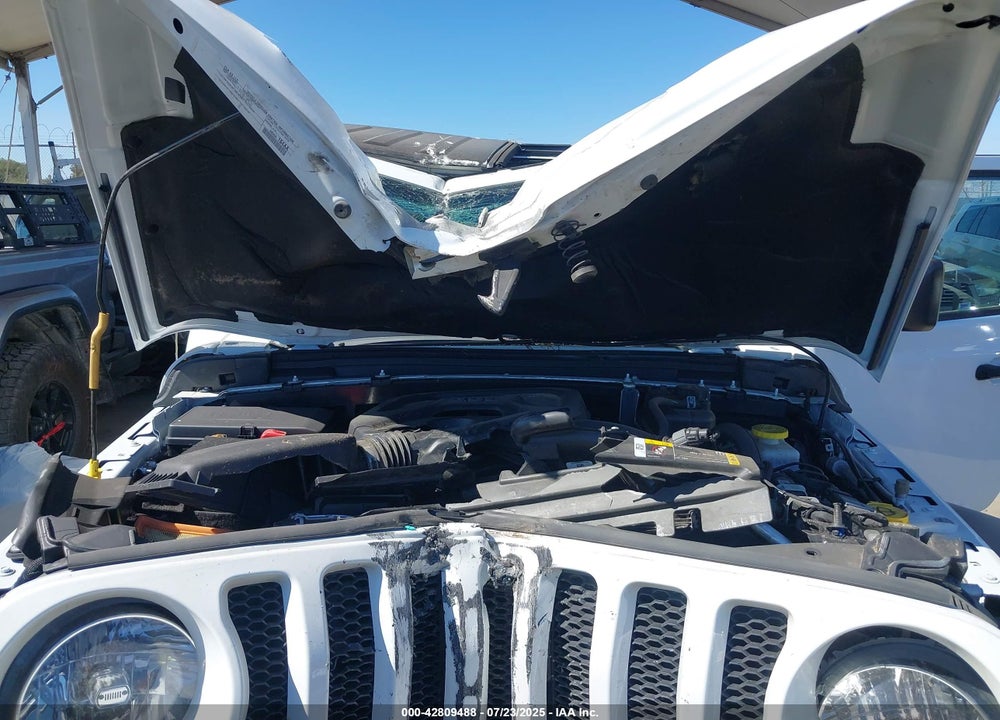 2023 JEEP WRANGLER / VIN: 1C4HJXDN3PW671989
