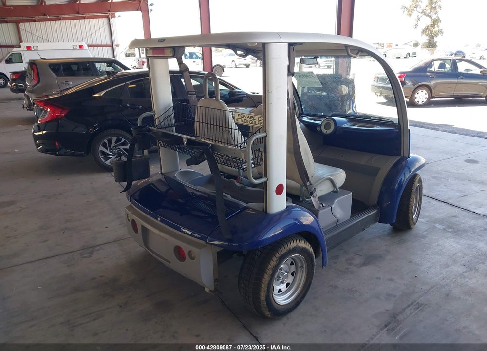 2002 FORD THINK NEIGHBOR VIN: 1FABP205320100789