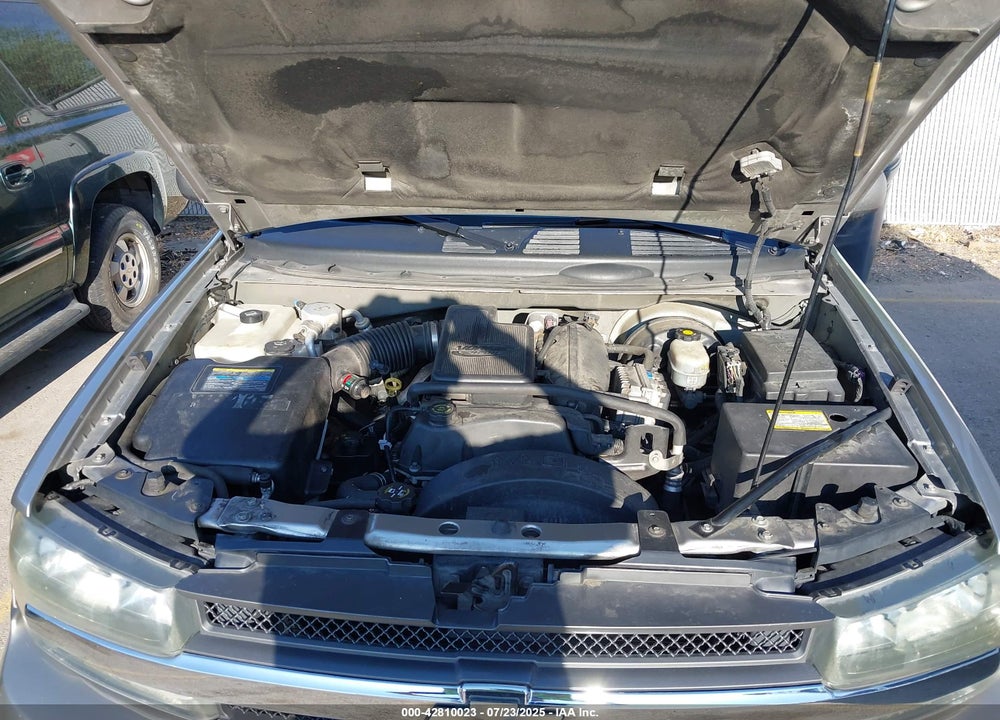 2002 CHEVROLET TRAILBLAZER VIN: 1GNDT13S822392414