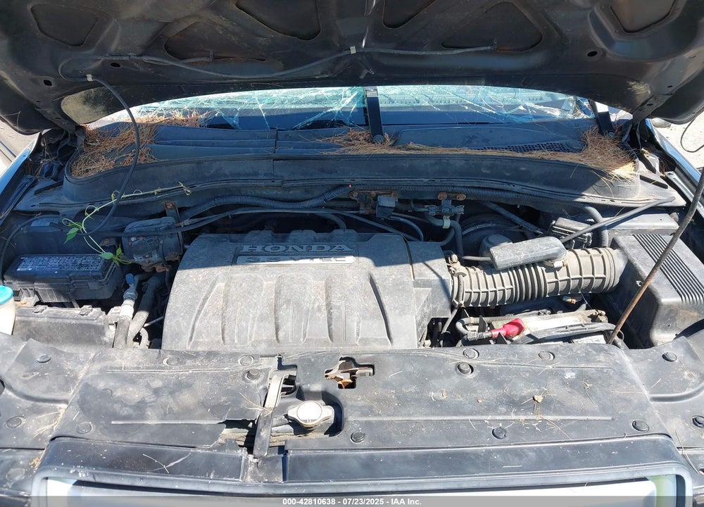 2006 HONDA PILOT VIN: 5FNYF18536B012838