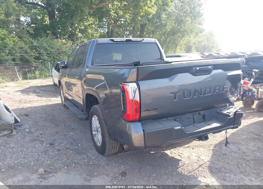 2024 TOYOTA TUNDRA VIN: 5TFLA5DB8RX205248