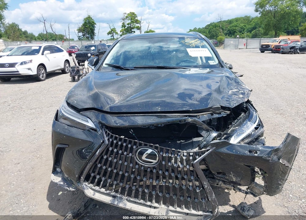 2025 LEXUS NX 450H VIN: JTJHKCFZ4S2046116