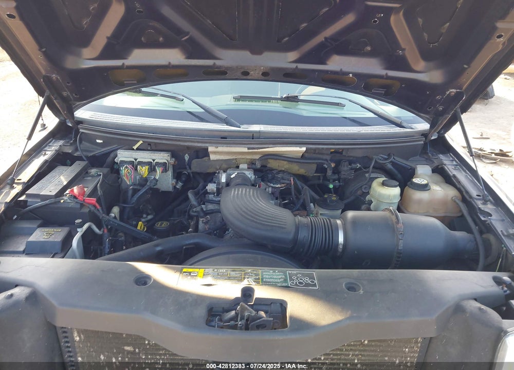 2004 FORD F-150 STX/XL/XLT VIN: 1FTRX12W14NC03823