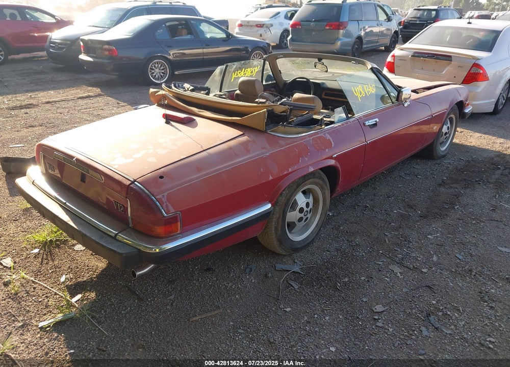 1988 JAGUAR XJS VIN: SAJNV5847JC145369