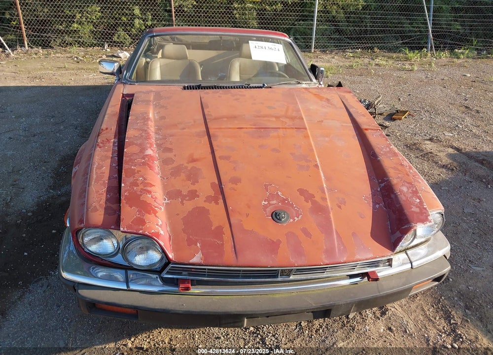 1988 JAGUAR XJS VIN: SAJNV5847JC145369