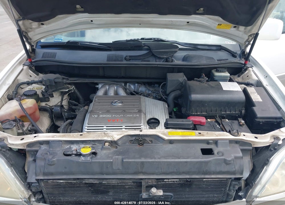 2002 LEXUS RX 300 VIN: JTJGF10U420123290