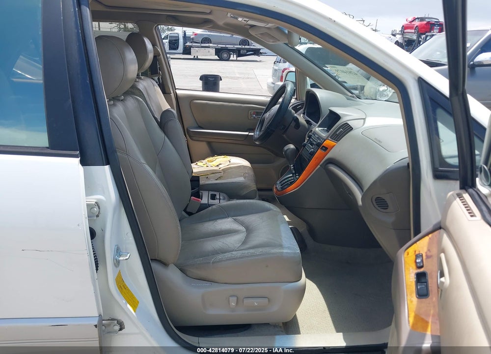 2002 LEXUS RX 300 VIN: JTJGF10U420123290