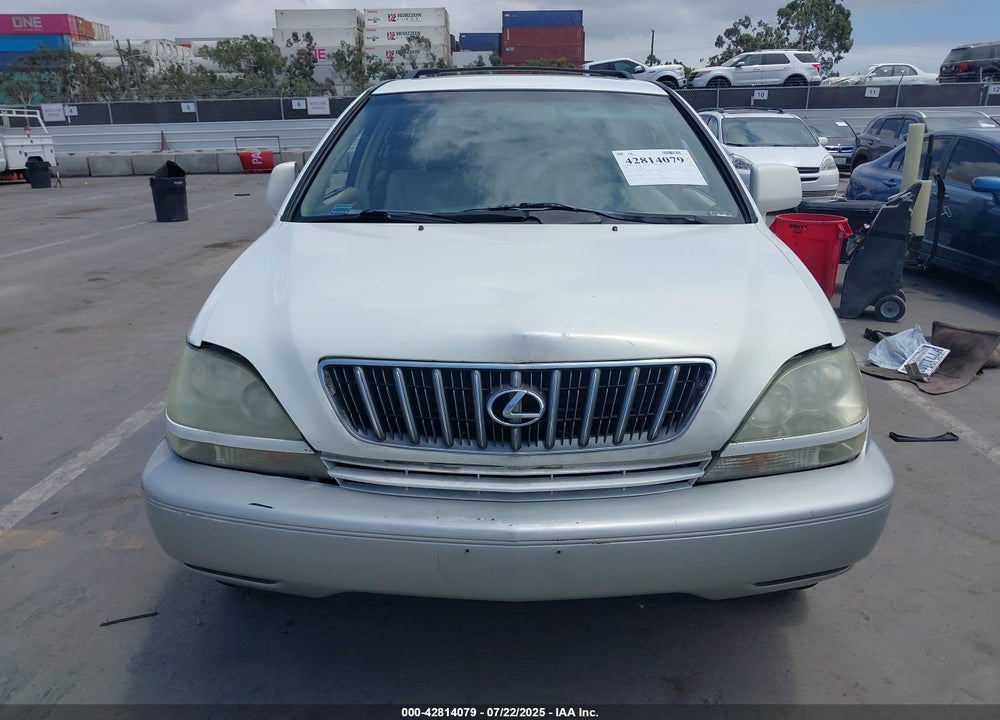 2002 LEXUS RX 300 VIN: JTJGF10U420123290
