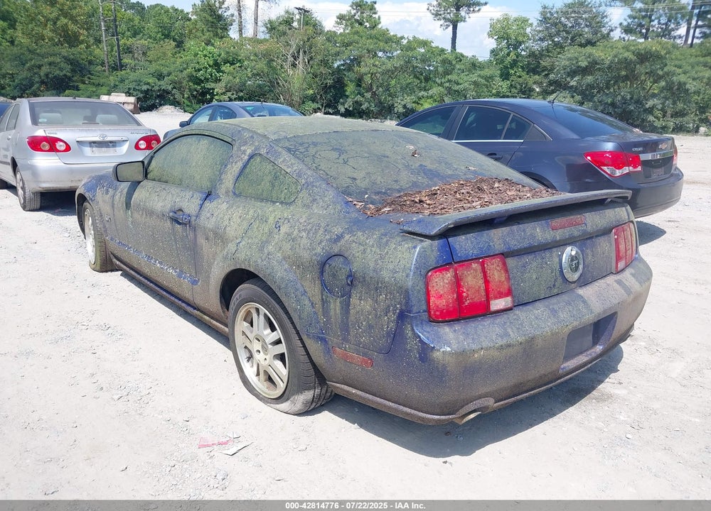 2005 FORD MUSTANG VIN: 1ZVHT82HX55142343
