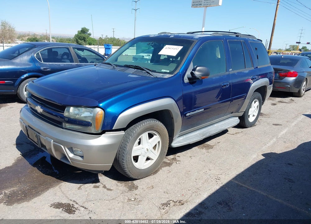 2002 CHEVROLET TRAILBLAZER VIN: 1GNDT13SX22371063