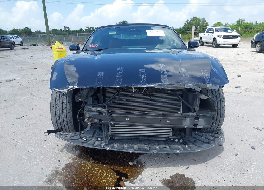 2024 FORD MUSTANG VIN: 1FAGP8UH1R5125555