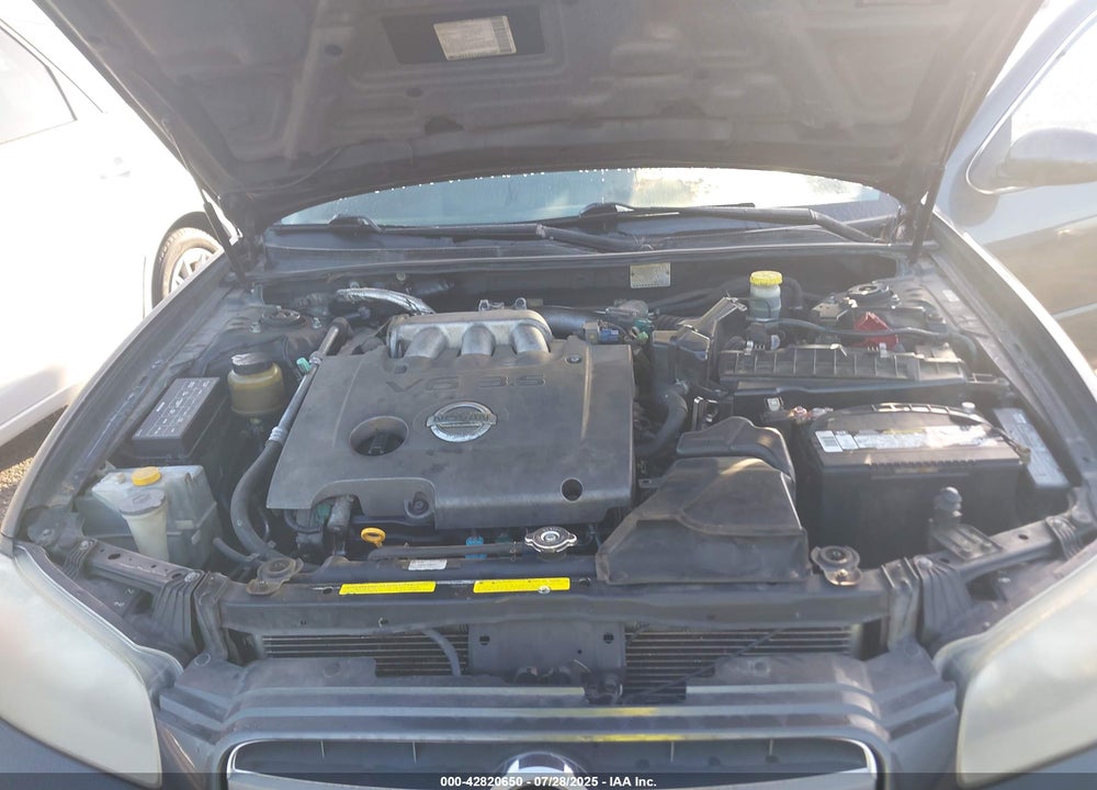 2002 NISSAN MAXIMA VIN: JN1DA31D02T442475