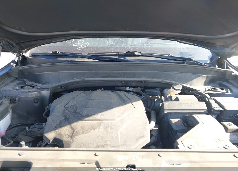 2023 KIA TELLURIDE VIN: 5XYP64GC5PG347588