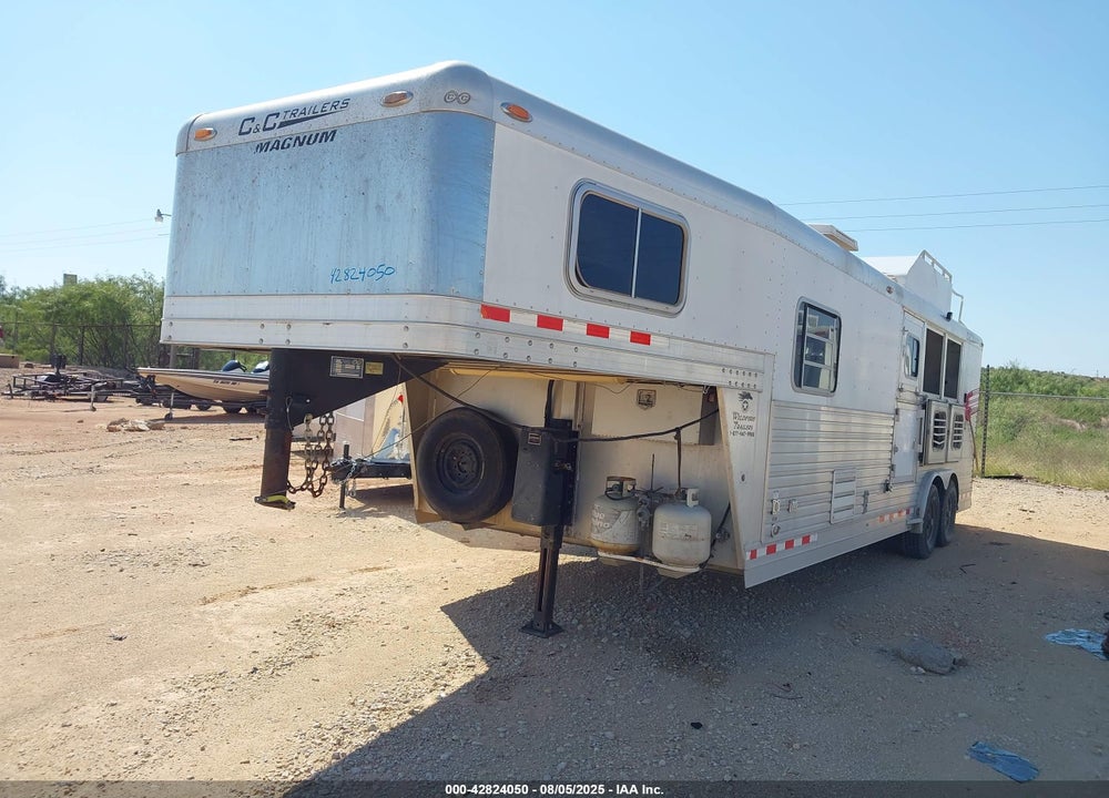 2006 C AND C PLATINUM VIN: 1C9WG24276N643125
