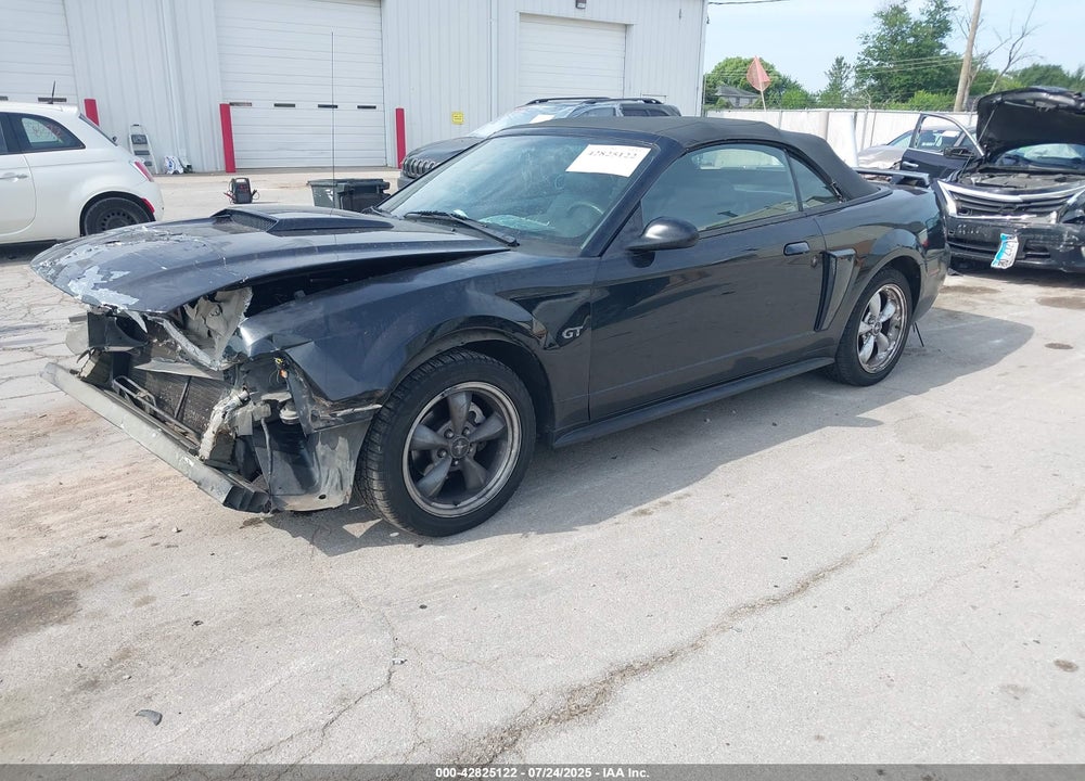 2002 FORD MUSTANG GT VIN: 1FAFP45X12F233894