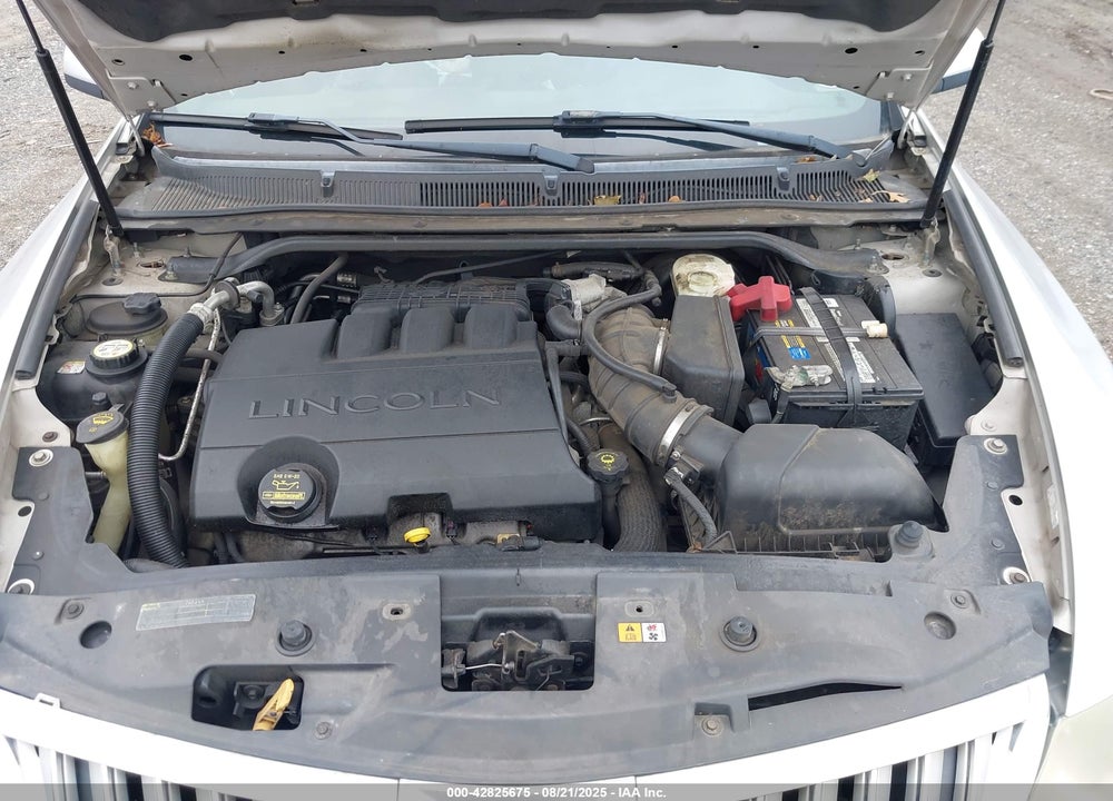 2009 LINCOLN MKS VIN: 1LNHM93R59G605878