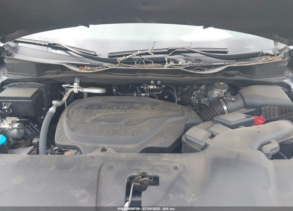 2024 HONDA ODYSSEY EX-L VIN: 5FNRL6H64RB049825